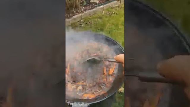 Мастер-Шеф дома