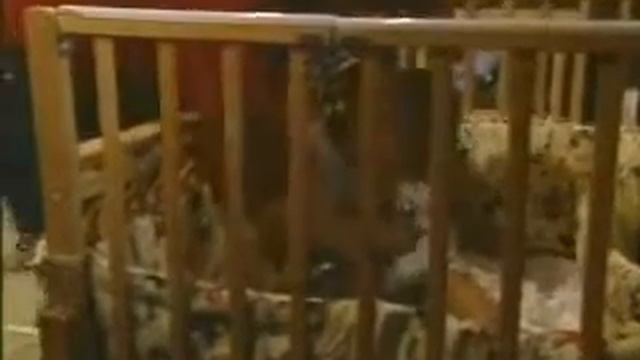 OLTL: September 27, 2006 смотреть онлайн