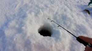 ✔️зимняя рыбалка, на окуня. ОКУНЬ на балансир,ЛОВЛЯ ОКУНЯ В ФЕВРАЛЕ