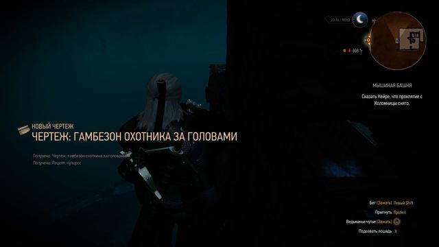 The Witcher 3 Wild Hunt - Прохождение побочных миссий #5 смотреть онлайн
