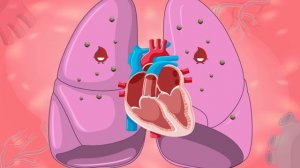 The Human Body: The Heart | Educational Videos For Kids