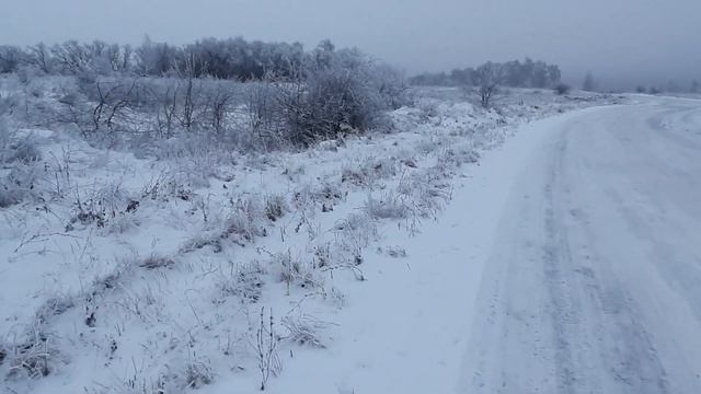 Охота на чебурашек. Иван Бадхи. Рассказ. Читает автор. смотреть онлайн