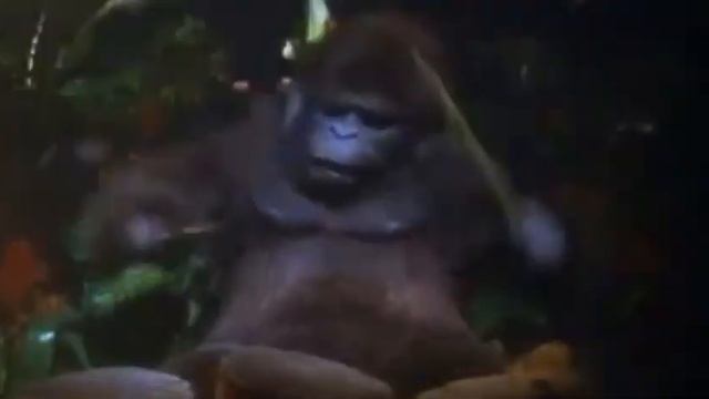 Disney's George Of The Jungle (Power Rangers Wild Force Style W/Extended Theme) смотреть онлайн