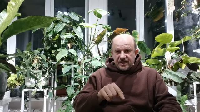 Немного о ГЛАВНОМ в Оранжерее отвечаю на ОГОРОДНЫЕ ВОПРОСЫ!