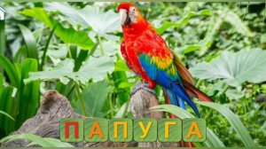 Вчимося читати-рятуй друзів.Вчимо букви, літери. Вчимося читати. Частина 13