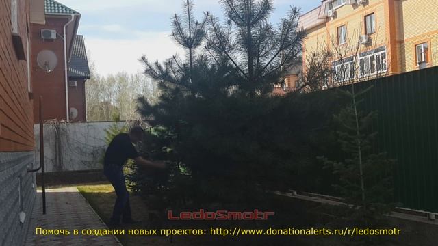 Скоро лето! А я наряжаю елку... Светодиодные гирлянды для подсветки деревьев на солнечных батареях! смотреть онлайн