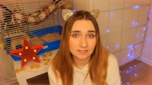 ДЕКОРАТИВНЫЕ КРОЛИКИ! / МИФЫ О КРОЛИКАХ! / ПРАВДА О СОДЕРЖАНИИ КРОЛИКА! / ЧТО НУЖНО ЗНАТЬ О КРОЛИКА