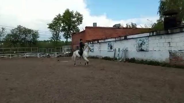 Ромашка_4 18.06.23 смотреть онлайн