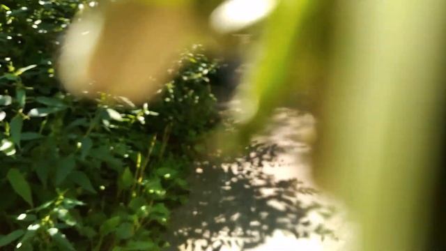 И снится мне сон, удивительный сон))) 1990 год. смотреть онлайн