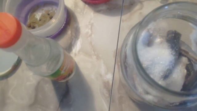 Уроки Пения и Вокала