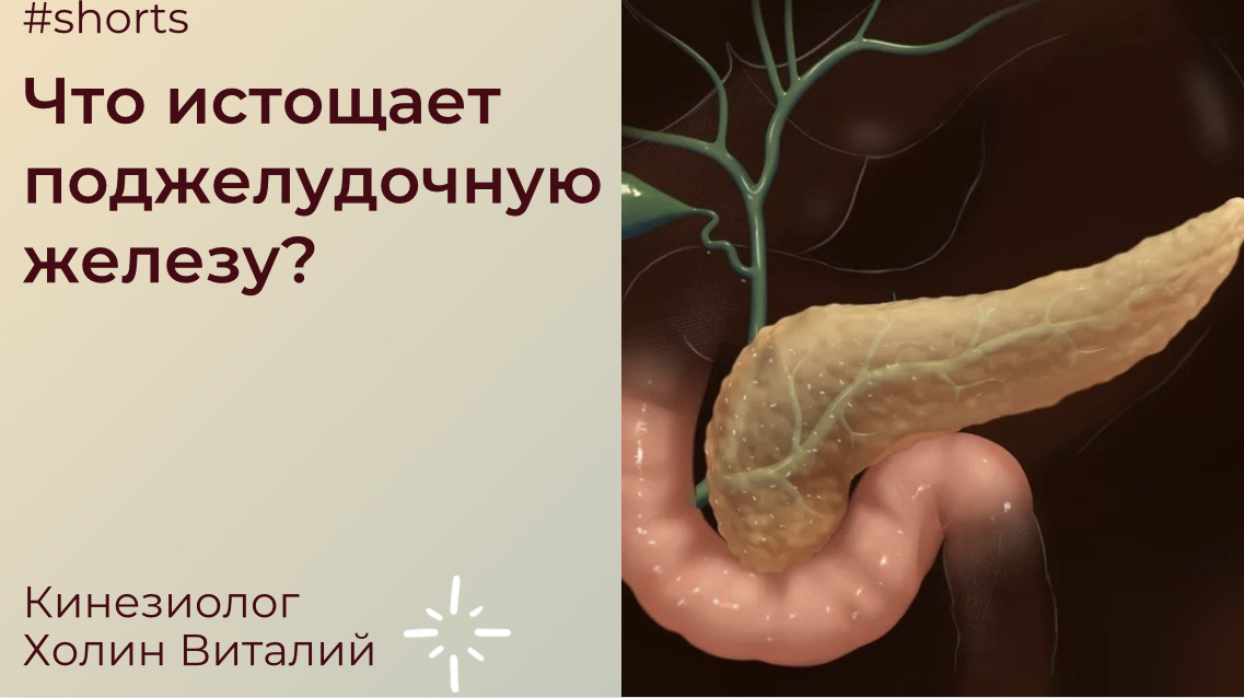 Что истощает поджелудочную железу? смотреть онлайн