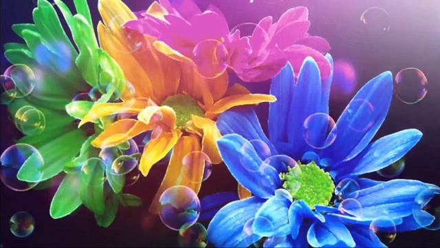 Валентина Синчук Цветы к ногам Верочки Зуйко(ГАВРИЭЛЛЫ)!