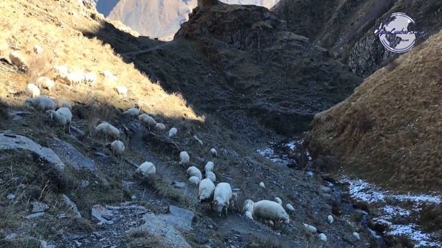 Военно- Грузинская дорога ,полеты во сне и наяву. 2 версия смотреть онлайн