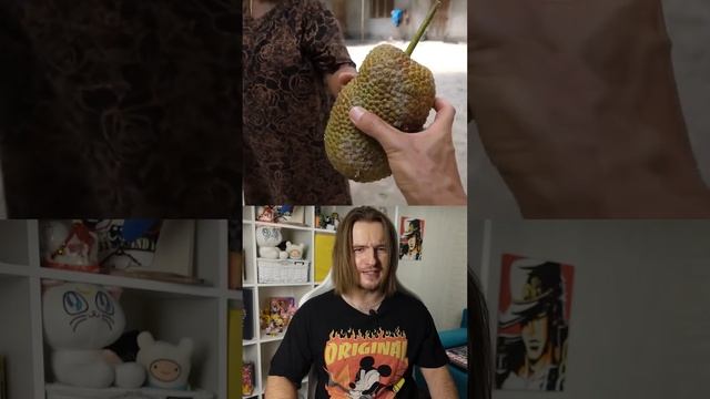 Чем отличается чемпедака от джекфрута? смотреть онлайн