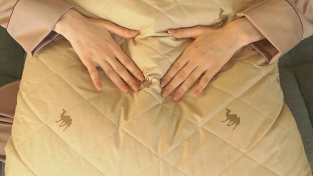 ПОДУШКА «CAMEL WOOL» 70х70 см смотреть онлайн