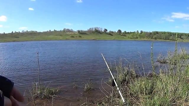 Фидер на волге в Твери смотреть онлайн