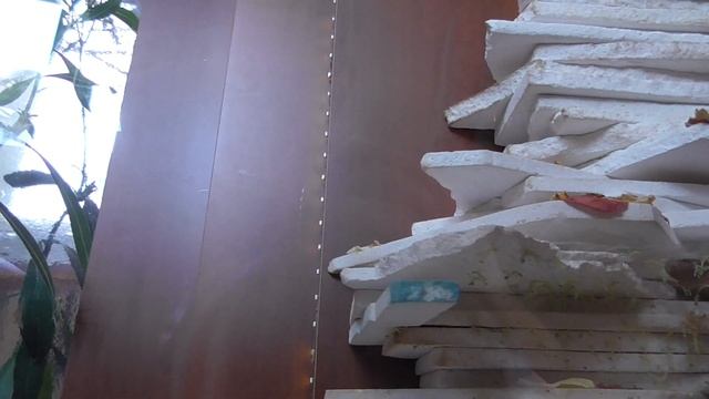 #Рождение дюжин #богомолов