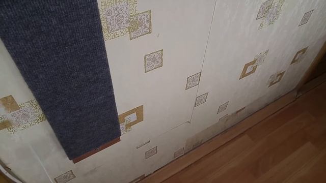 Установка когтеточки и приучаю кошку к ней смотреть онлайн