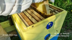 Отстройка рамок МИНИ + в 10 рамочном магазине. Новый эксперимент и результат.