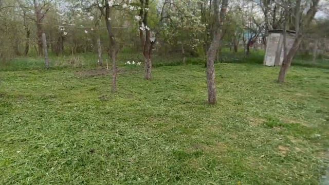 Отмечаем скромно Агатовую свадьбу//Совмещаем приятное с полезным ? смотреть онлайн