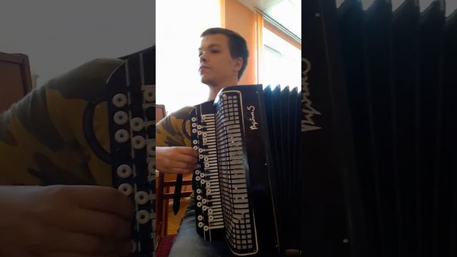 Хуторок ( Сыпал снег буланному под ноги ) #Баянист смотреть онлайн