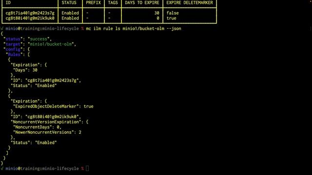 MinIO Object Management: Lifecycle Management Lab смотреть онлайн