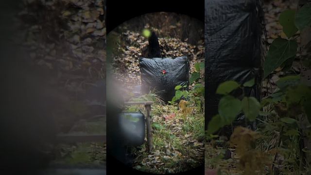 «Мотай на ус» II Изменение точки прицеливания при давлении на тетиву кончиком носа.