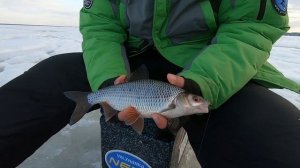 Ловля КРУПНОЙ плотвы на Горе-Море  СВИНОПЛОТВА)))! NEW 2021