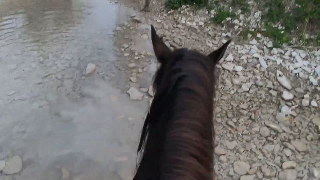 Конная прогулка село Пляхо Краснодарский край экскурсия Новомихайловский - 2 июля 2021 смотреть онлайн