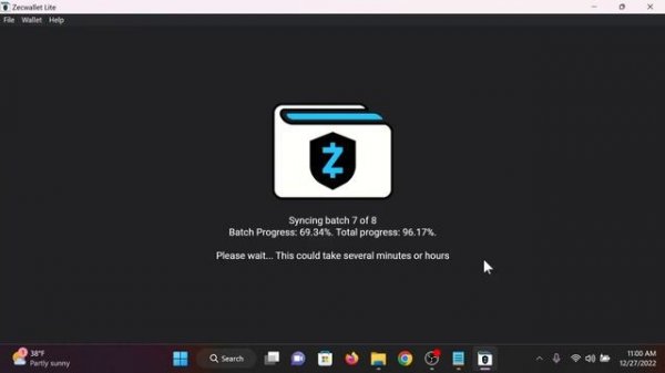 Инструкция по использованию кошелька для Zcash - ZecWallet Lite для ПК на Windows - часть 2