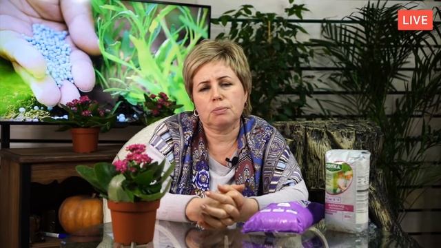 МОЧЕВИНА или КАРБАМИД ? Как правильно применять мочевину? ? прямой эфир Хитсад ТВ