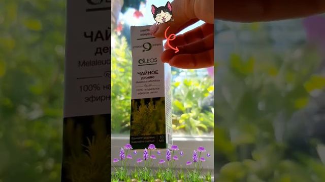 Эфирное масло чайного дерева для волос смотреть онлайн