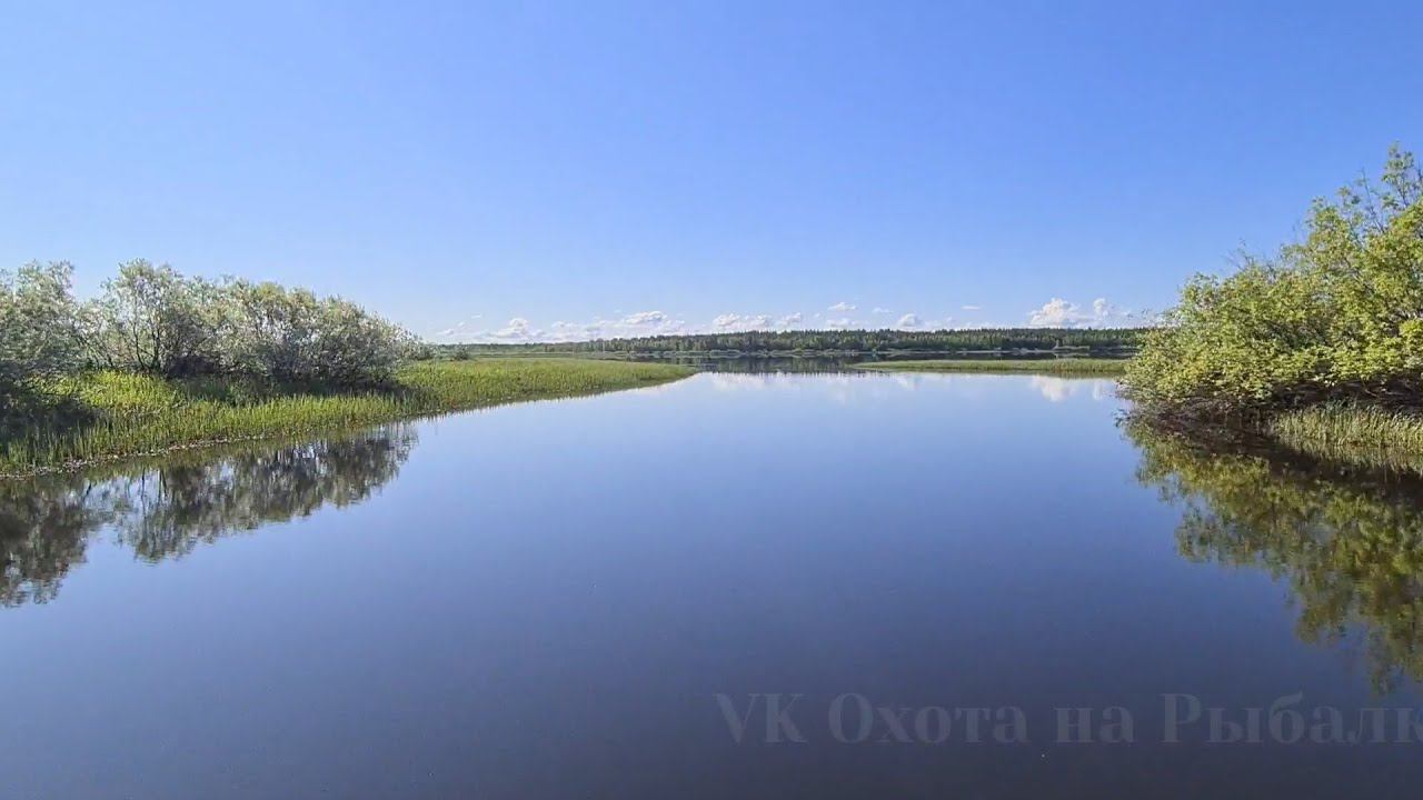 ПРИРОДА РЕКА КРАСОТА СИБИРИ смотреть онлайн