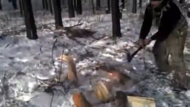 Заготовка дров на баню. by Magisto смотреть онлайн