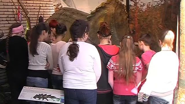 Юные кузнечане побывали на экскурсии в краеведческом музее. Апрель 2013 год. смотреть онлайн