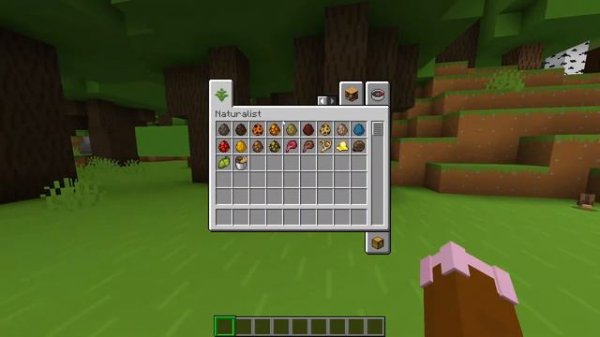 Minecraft Naturalist Mod (Fabric/Forge)