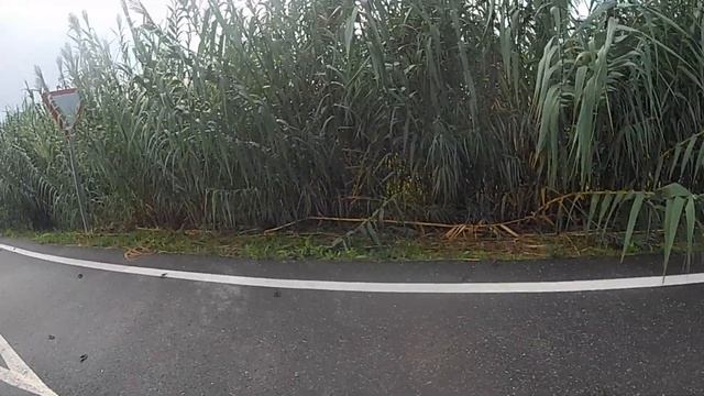 Там где раки зимуют смотреть онлайн