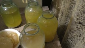 ПРАВИЛЬНЫЙ и Натуральный ! ? ЯБЛОЧНЫЙ УКСУС без Дрожжей !Уксусная Матка.ПОДПИСЫВАЙТЕСЬ ?надо 1000 !