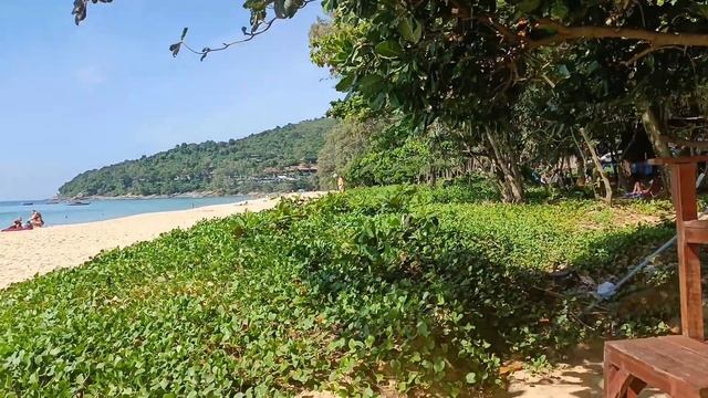 Andaman White Beach Resort и пляж Най Тон ( Пхукет 2023 ) смотреть онлайн