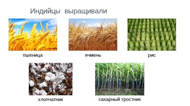 20. Природа и люди Древней Индии. История 5 класс. Вигасин. Краткий пересказ. смотреть онлайн