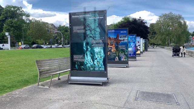 Кремлевская похоронная команда Мирового Гегемона № 4588 смотреть онлайн