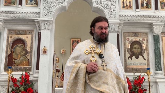 Не хорошо давать хлеб псам, забрав у детей. Протоиерей Андрей Ткачёв. смотреть онлайн