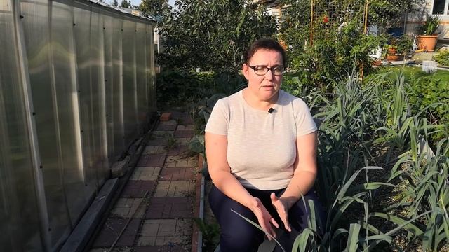 ЛУК БУДЕТ ЛЕЖАТЬ ДОЛГО! ВОСПОЛЬЗУЙТЕСЬ СОВЕТАМИ смотреть онлайн