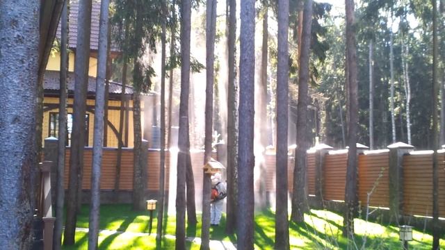 Лечение деревьев: борьба с короедом смотреть онлайн