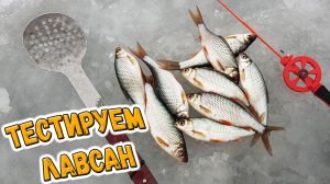 Разловил удочку: лавсановый кивок + гвоздешарик - безмотылка