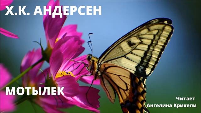 Сказка-притча НЕ для детей. Классика. Мотылек. Андерсен смотреть онлайн