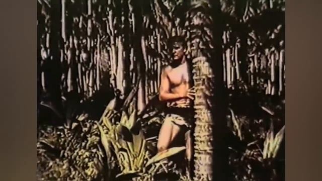 SHE GODS OF SHARK REEF // Full Adventure Movie // Bill Cord & Lisa Montell // HD // 720p смотреть онлайн