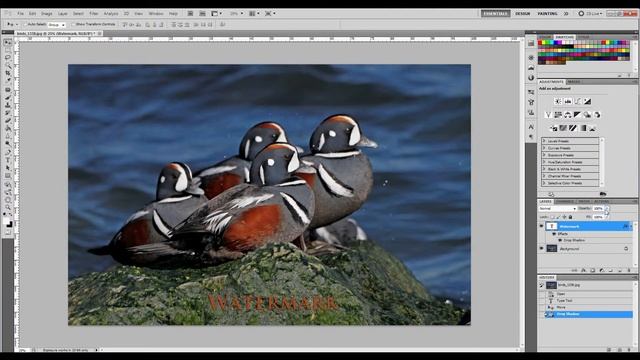 Photoshop Watermark Tutorial смотреть онлайн