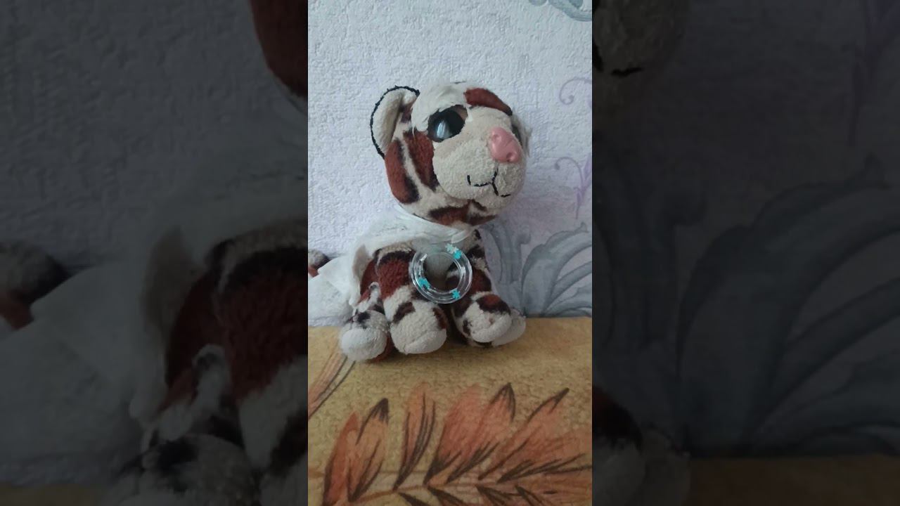 14 октября 2023 г. смотреть онлайн