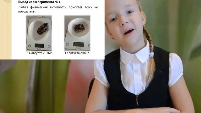 Почему хомяк бегает в колесе смотреть онлайн